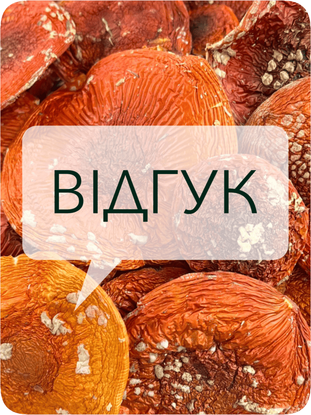 Відгук: рік мікродозинга мухомором, враження та ефект
